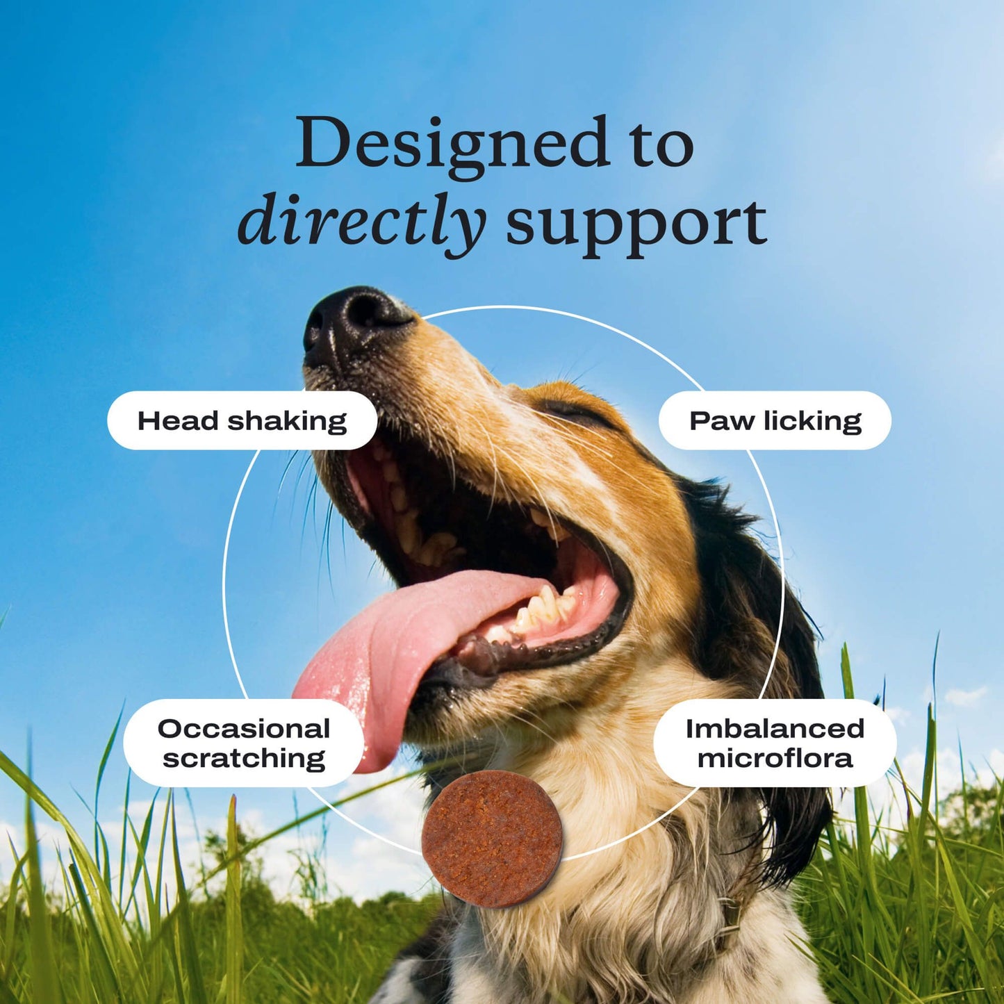 Dog Allergy & lmmuneProbiotics-Soft Chews